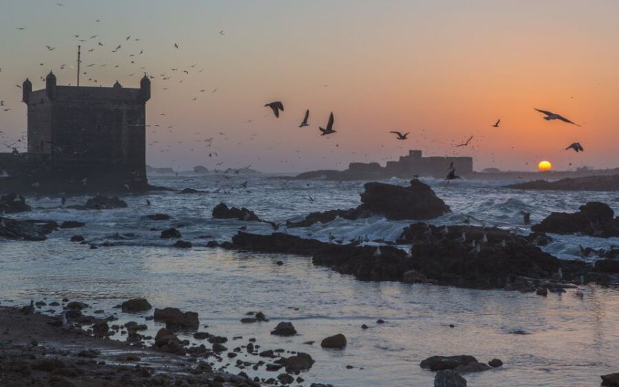 From Marrakech: Full-Day Private Trip to Essaouira