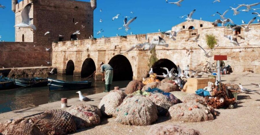 From Marrakech: Private Day Trip To Essaouira Mogador