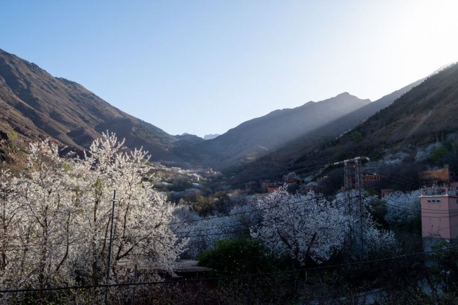From Marrakech : Private Family Tour to Imlil Valley - Good To Know