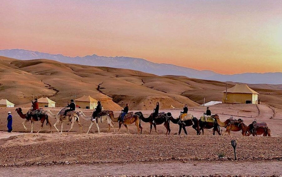 From Marrakech : Sunset Camel Ride in Agafay Desert - Good To Know