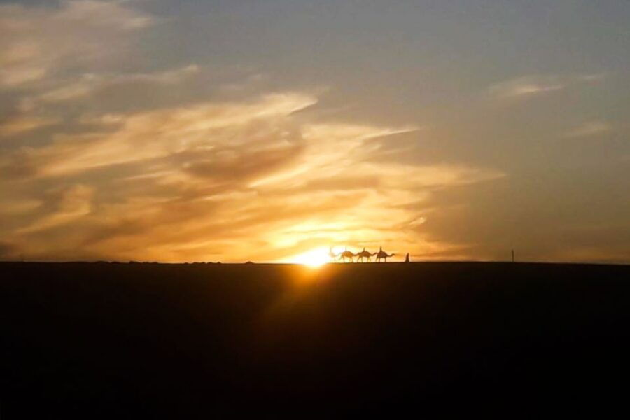 From Marrakech: Sunset Camel Ride in the Agafay Desert - Good To Know