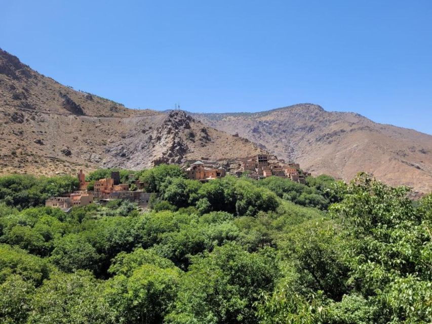 From Marrakech: Three Valleys, Waterfall, Atlas Mount's Trip - Good To Know