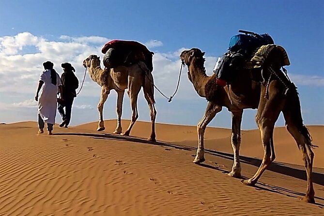 From Marrakech to Merzouga Private 4 Days Luxury Desert Tour - Tour Itinerary Highlights