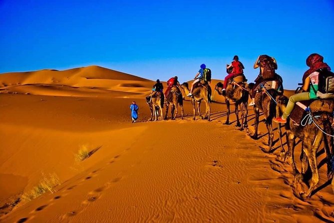 From Marrakech to Sahara Merzouga - 3 Days Trip - Good To Know