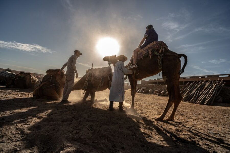 From Marrakech: VIP Agafay Desert & Oasis Camel Experience - Good To Know
