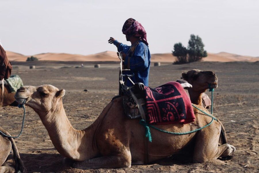 From Marrakesh: Agafay Desert Sunset and Camel Ride - Good To Know