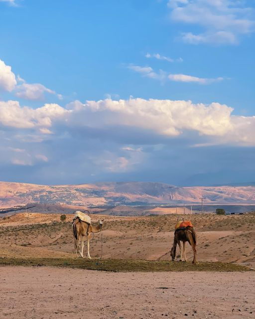 From Marrakesh: Agafay Desert Sunset, Camel Ride, and Dinne - Good To Know