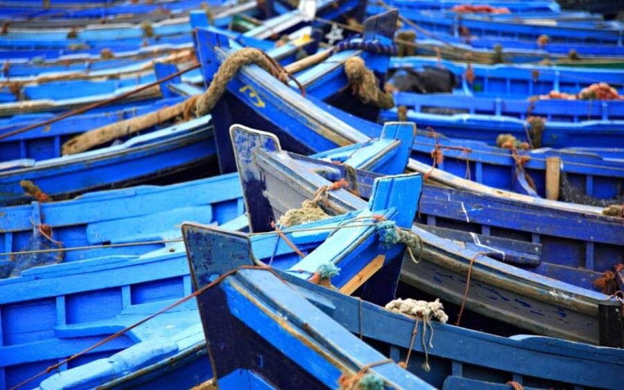 From Marrakesh: Day Trip to Essaouira - Good To Know