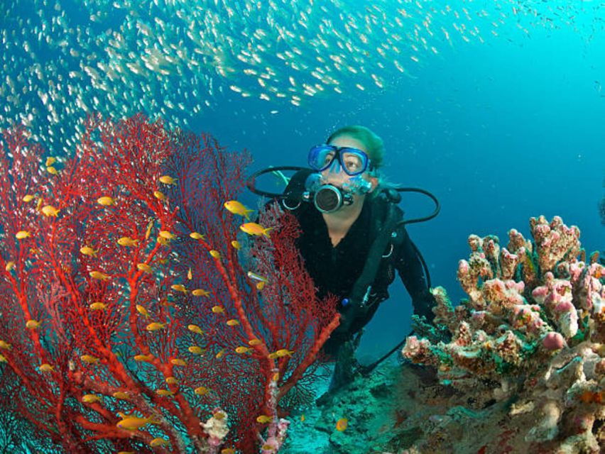 From Marsa Alam: Beginners Scuba Diving Day-Trip With Lunch - Good To Know