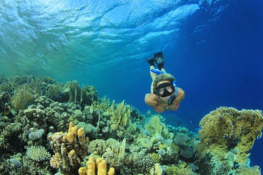 From Marsa Alam: Marsa Mubarak Sea Snorkeling Boat Trip