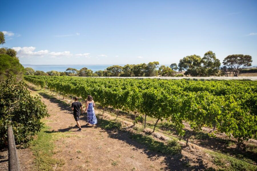 From Melbourne: Bellarine Hop-On Hop-Off Bus and Ferry