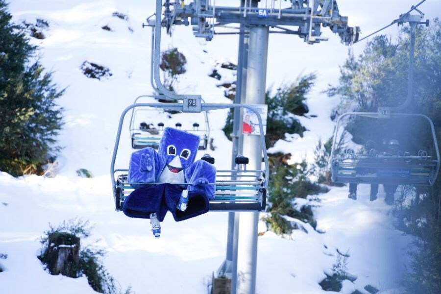 From Melbourne: Day Trip to Mt Buller by Premium Tour Coach - Activity Details