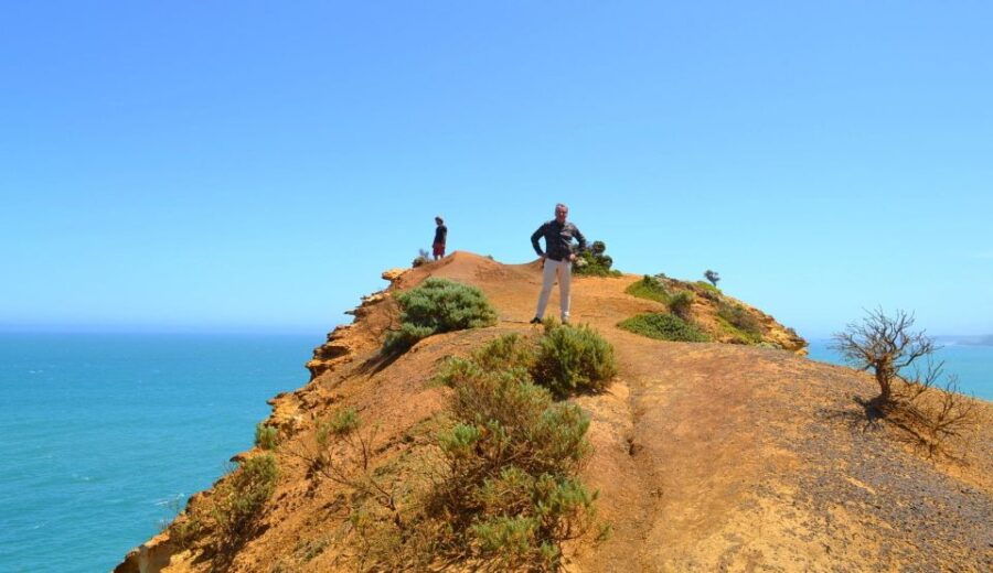 From Melbourne: Great Ocean Road Day Trip With Dinner - Good To Know