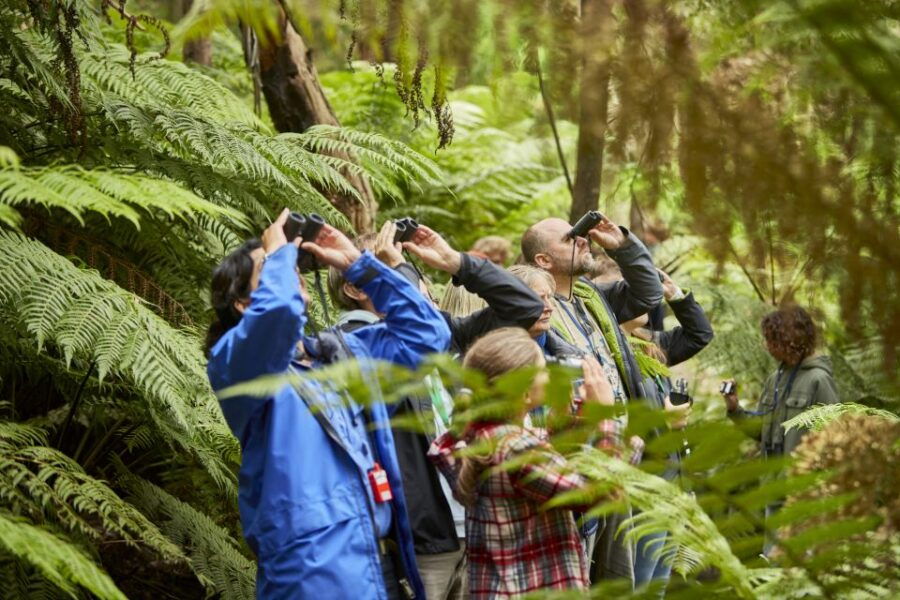 From Melbourne: Luxury Great Ocean Road & Wildlife Tour - Good To Know