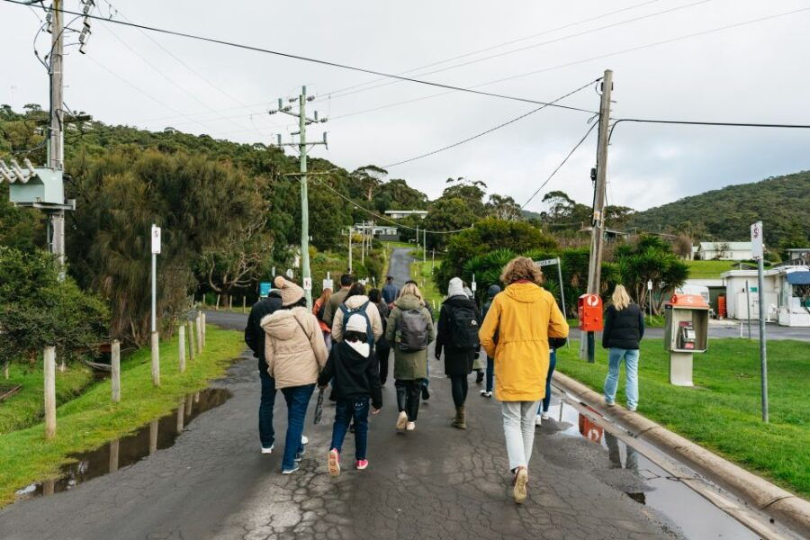 From Melbourne: Penguin Parade, Koalas & Kangaroos