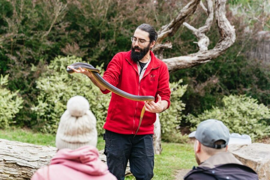 From Melbourne: Phillip Island Eco Wildlife Tour - Good To Know