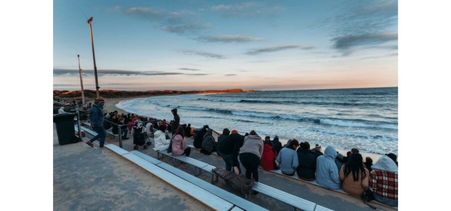 From Melbourne: Phillip Island Penguin Parade Tour