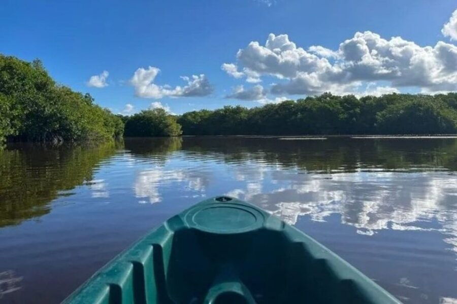 From Mérida: Full-Day Sisal Kayaking Tour With Lunch - Good To Know