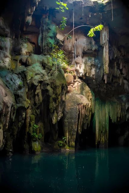 From Mérida: Mayan Santuary, Cenote & Kukulkan Nights Show - Good To Know