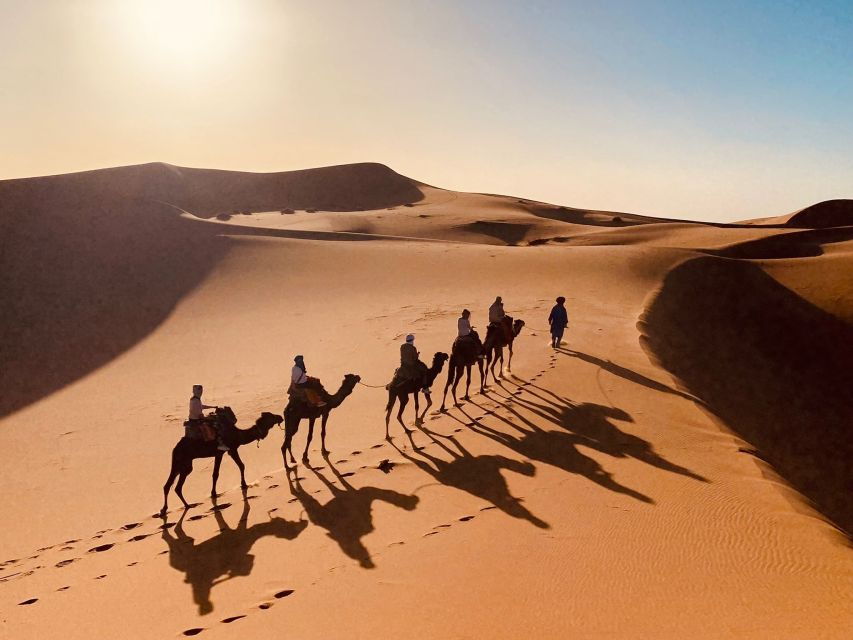 From Merzouga: Overnight Camel Trek Over Erg Chebbi Dunes