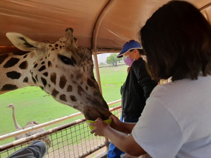 From Mexico City: Teotihuacan Tour & Reino Animal For Kids