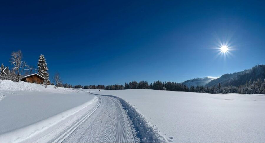 From Montreal: Lanaudière Region Hike With Snoweshoes - Good To Know