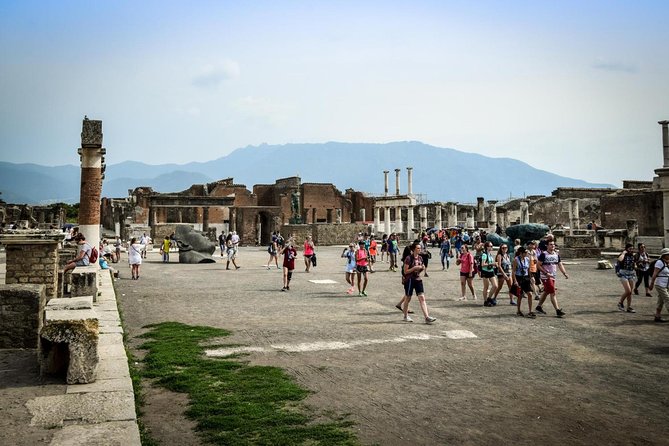 From Naples: Pompeii Private Tour With Lunch at the Slopes of Mt Vesuvius - Good To Know