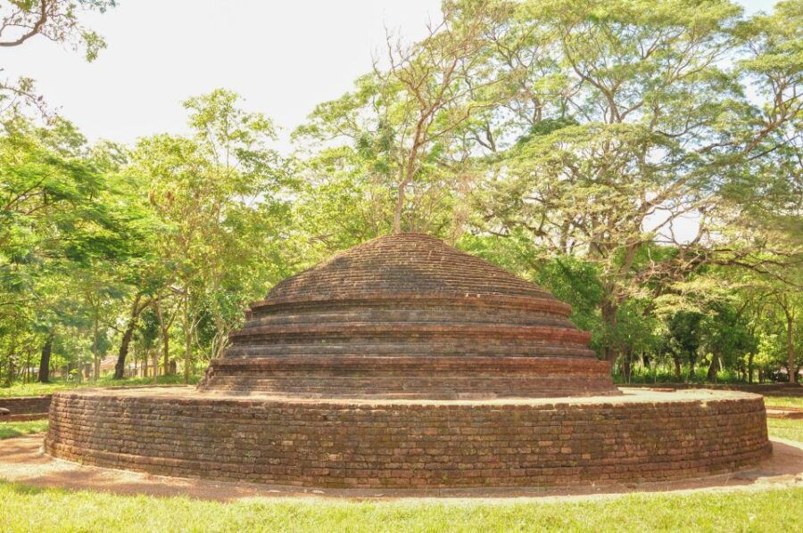 From Negombo: Dambadeniya, Yapahuwa, and Panduwasnuwara Tour - Good To Know