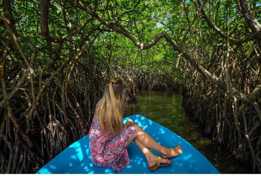 5 Best Safari Tours In Kosgoda