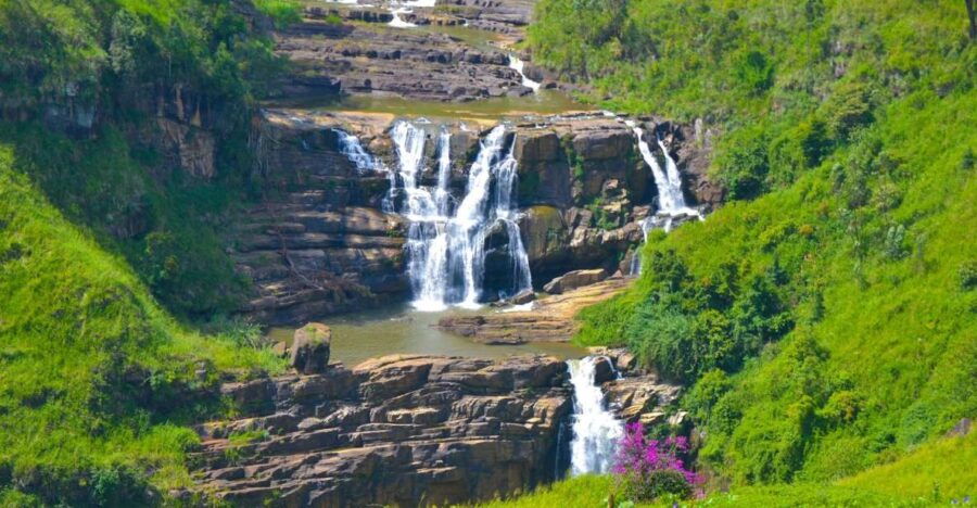From Negombo or Colombo: 5-Day Central Highlands Tour - Good To Know
