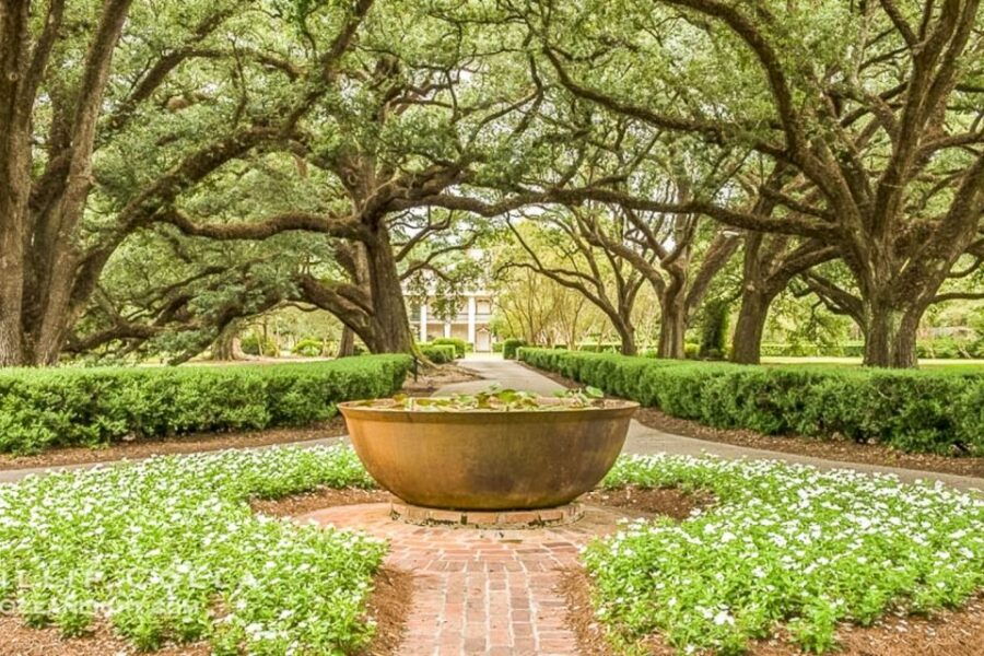 From New Orleans: Oak Alley Plantation Tour