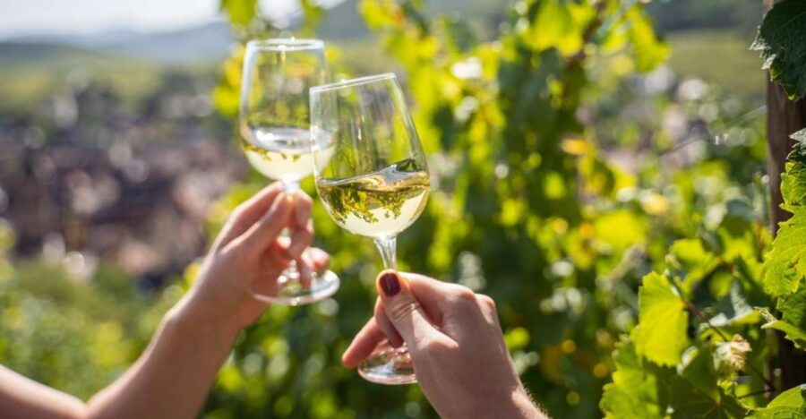 From Nice: Wine Tasting & Provencal Countryside Tour - Good To Know