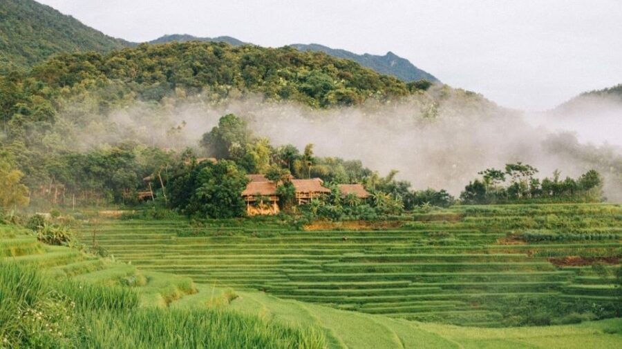 From Ninh Binh : Pu Luong 2 Days 1 Night Drop off Ha Noi - Good To Know