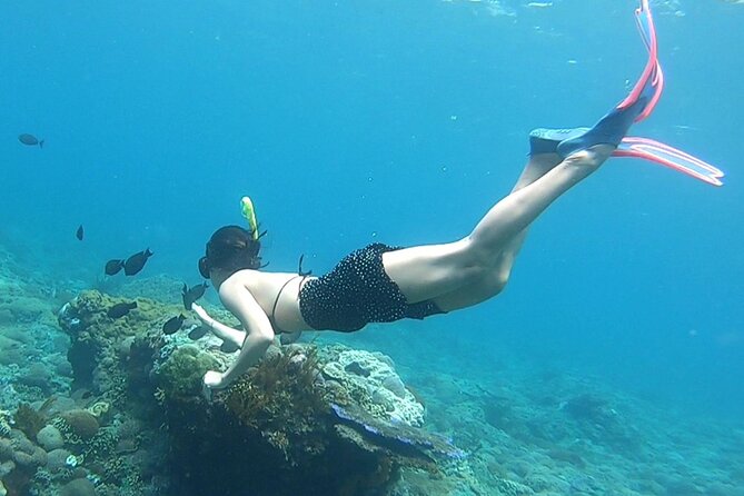From Nusa Penida: 4 Spots Snorkeling Tour With Manta Rays - Good To Know