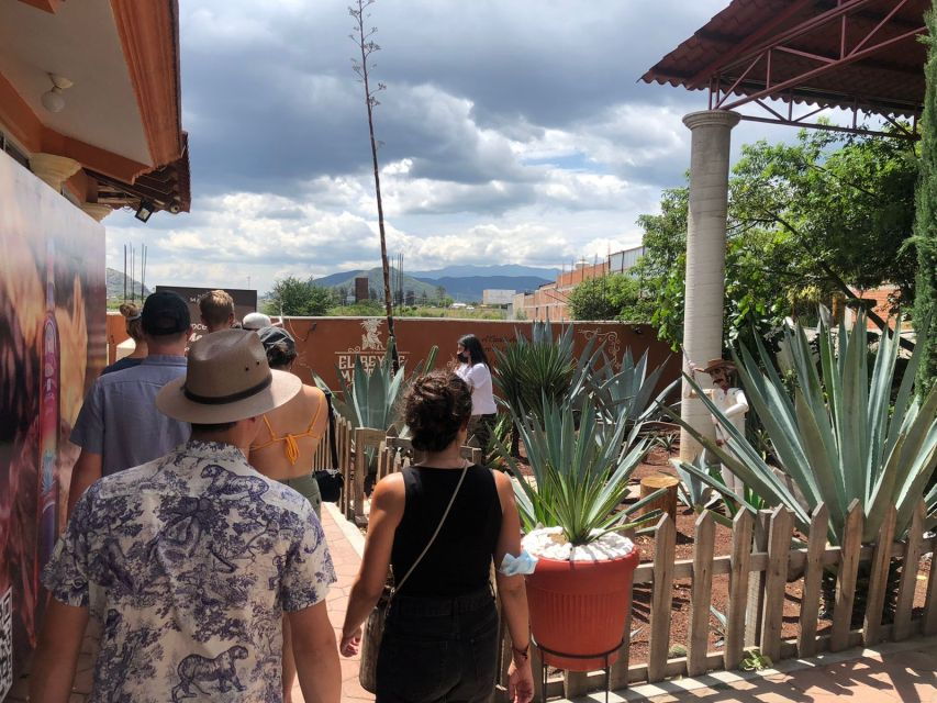 From Oaxaca: Natural and Cultural Highlights Guided Day Tour - Good To Know