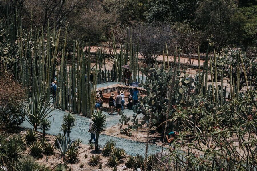 From Oaxaca : Walking Tour – Markets, Textile Museum & Lunch