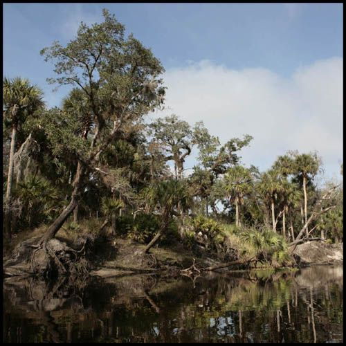 From Orlando: Kayaking the Econlockhatchee River With Lunch - Good To Know