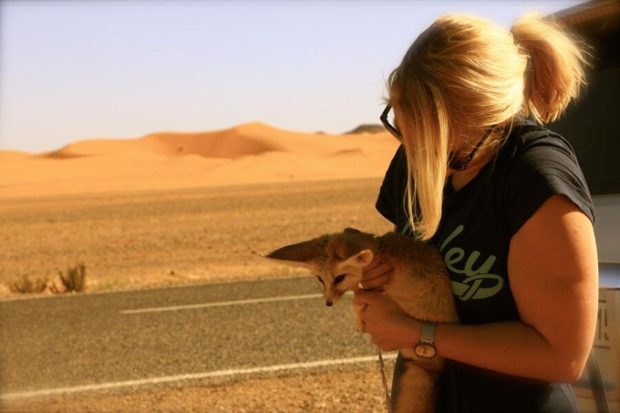 From Ouarzazate: Private 2-Day Merzouga Desert Tour