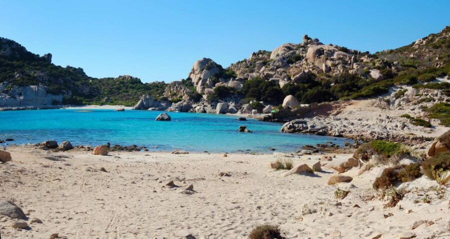 From Palau: La Maddalena Archipelago Boat Tour With Pasta - Good To Know