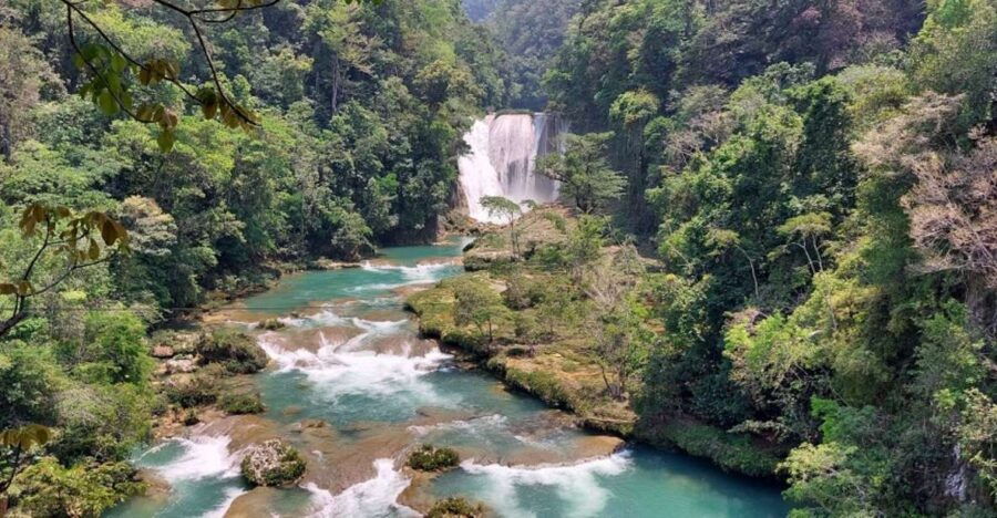From Palenque: El Salto Waterfall Private Tour - Good To Know