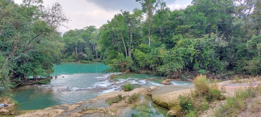 From Palenque:Wonders of the Roberto Barrios Waterfalls Tour
