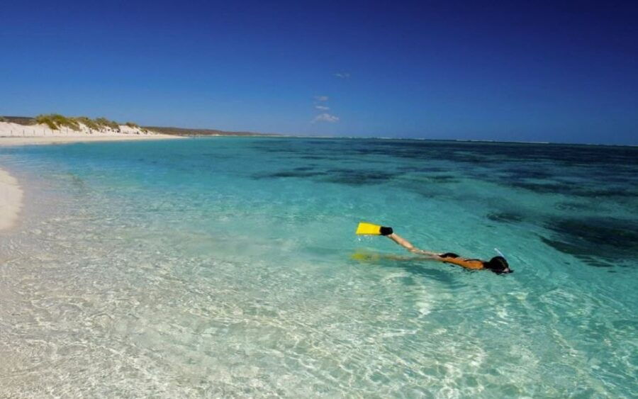 From Perth: 6-Day Whale Shark Snorkel and Ningaloo Reef Tour - Good To Know