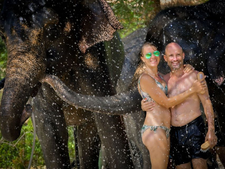 From Phuket: Elephant Jungle Sanctuary Feed and Shower Trip
