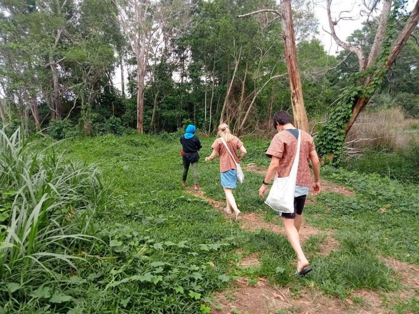 From Phuket: Ethical Elephant Interactive Trek and Tour - Good To Know