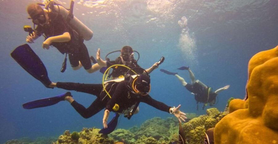 From Phuket: Full-Day Similan Island Scuba Diving Day Trip - Good To Know