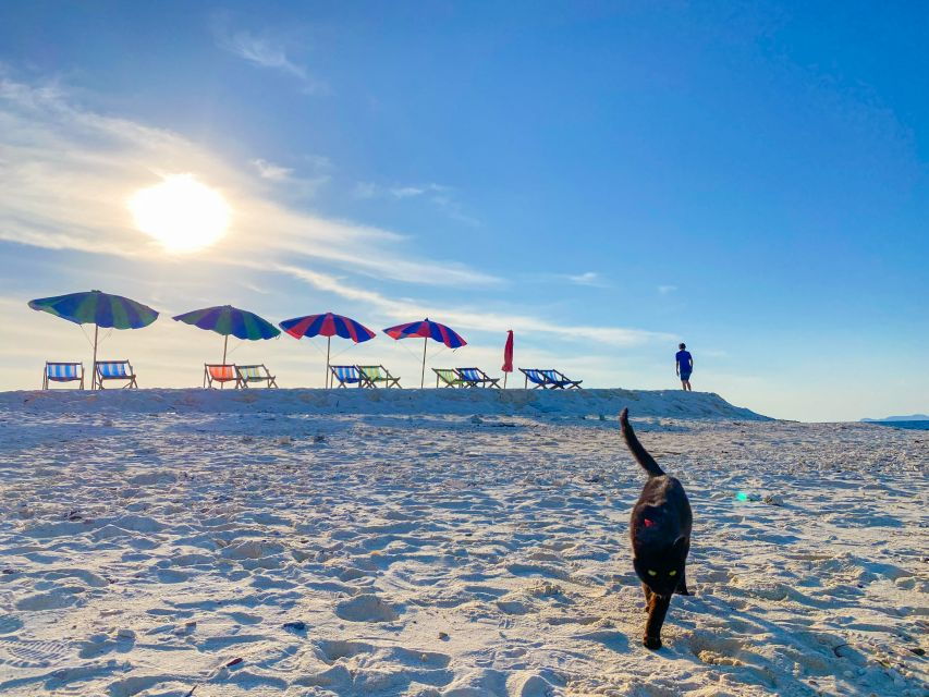 From Phuket: Phi Phi Island by Speed Boat Tour - Good To Know