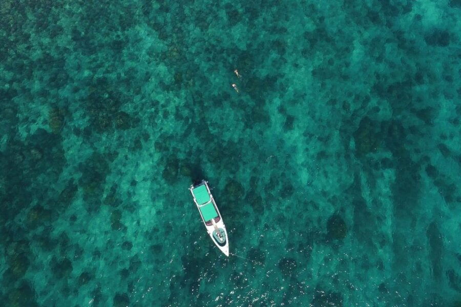 From Phuket: Phi Phi Island Private Full-Day Speedboat Trip