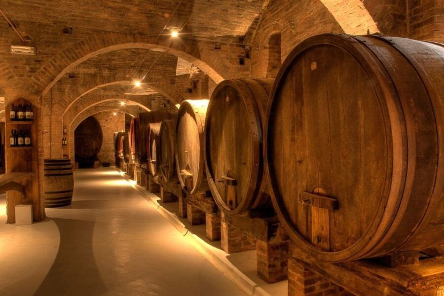 From Pisa or Lucca: Half-Day Tuscany Chianti Wine Tasting - Good To Know