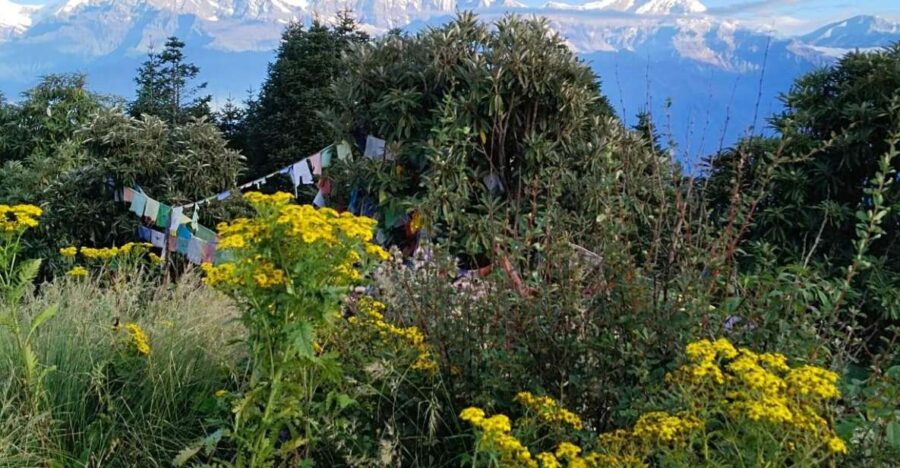 From Pokhara: 3 Days Ghorepani Poon Hill Trek