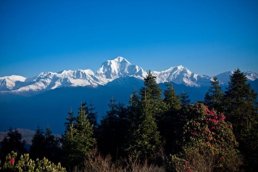 From Pokhara: Best Ghorepani Poonhill Trek - 5 Days - Good To Know